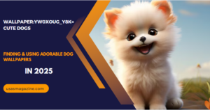 Wallpaper:yw0xoug_y8k= cute dogs – Finding & Using Adorable Dog Wallpapers